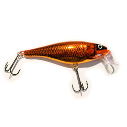 Ginger Chunks Custom Rapala Super Shad