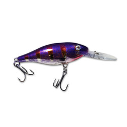 Jamboree Custom Rapala Shad Rap #7