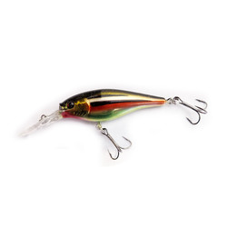 Chrome Dace - CUSTOM