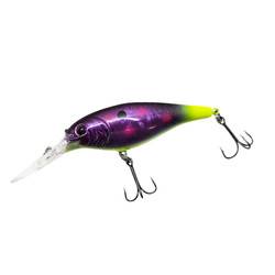 Twisted Muffin Custom Berkley Flicker Shad