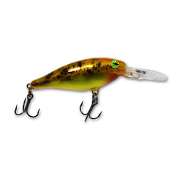 Notorious Custom Rapala Shad Rap