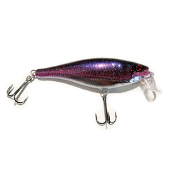 Purple Reign Custom Rapala Super Shad