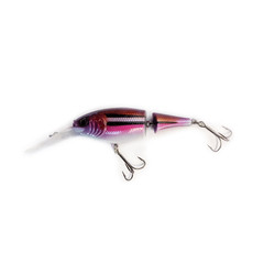 Purple Dace - CUSTOM