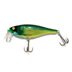 Shamrock Shad - CUSTOM