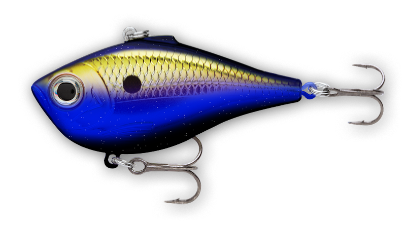 Custom Painted Rapala Rippin' Rap